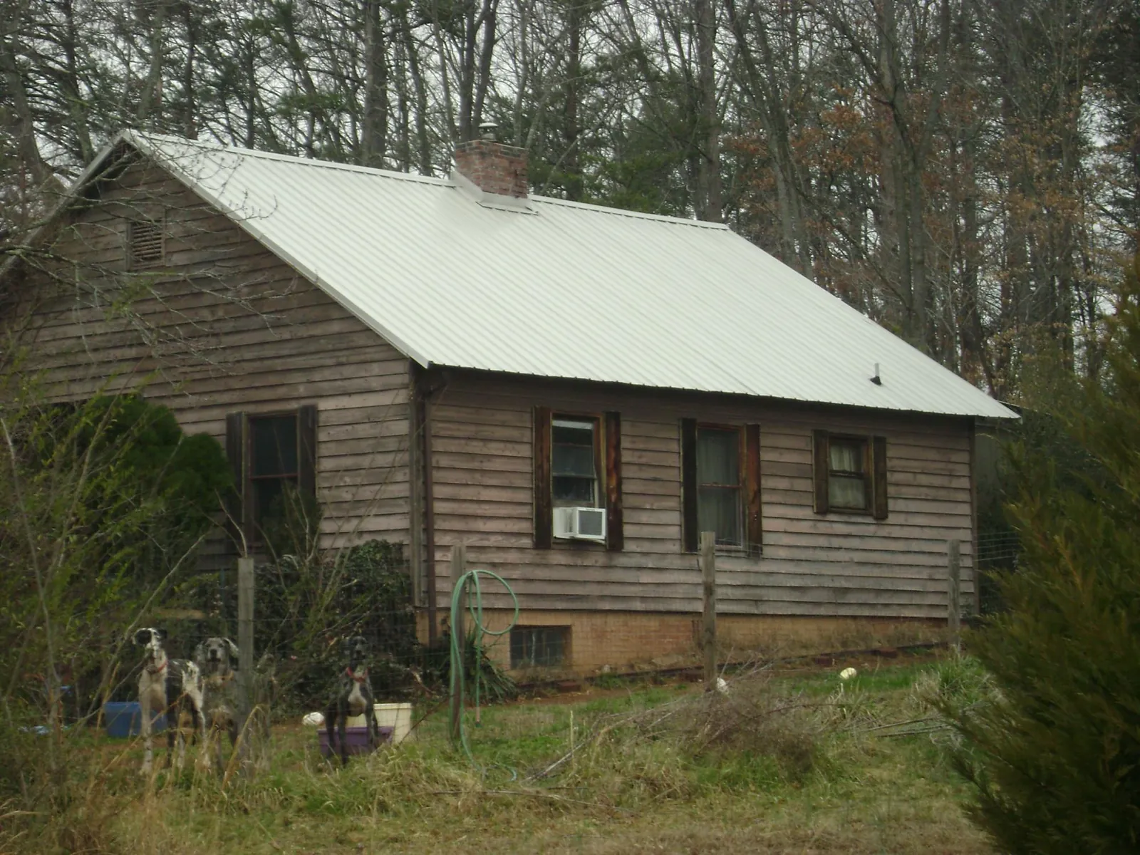 White metal roof on an old wood sided farmhouse, from a Asphalt Shingle Roof Repair job in Pruden
